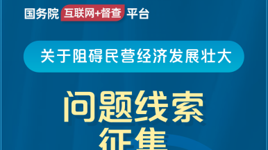 艹艹艹逼国务院“互联网+督查”平台公开征集阻碍民营经济发展壮大问题线索